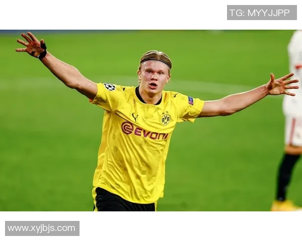 哈兰德全名是什么 揭秘足球天才的真实身份与成长历程